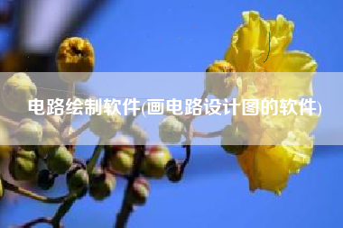 电路绘制软件(画电路设计图的软件)