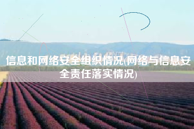 信息和网络安全组织情况(网络与信息安全责任落实情况)