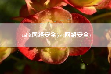 cobit网络安全(cec网络安全)