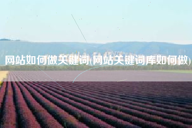 网站如何做关键词(网站关键词库如何做)