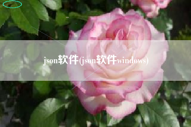 json软件(json软件windows)