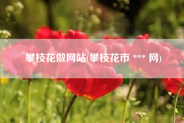 攀枝花做网站(攀枝花市 *** 网)
