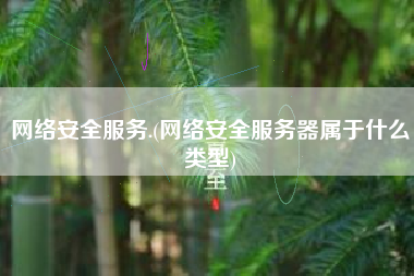 网络安全服务.(网络安全服务器属于什么类型)