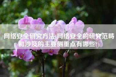 网络安全研究方法(网络安全的研究范畴和涉及的主要侧重点有哪些?)