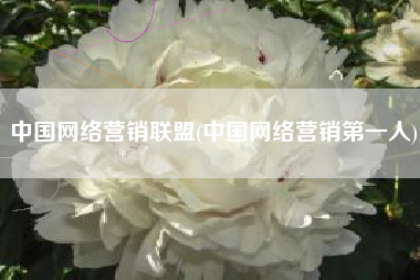 中国网络营销联盟(中国网络营销第一人)