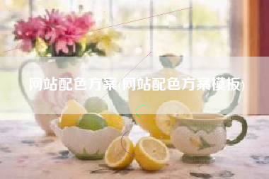 网站配色方案(网站配色方案模板)