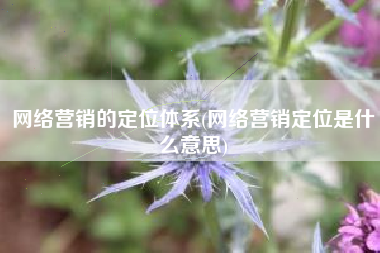 网络营销的定位体系(网络营销定位是什么意思)