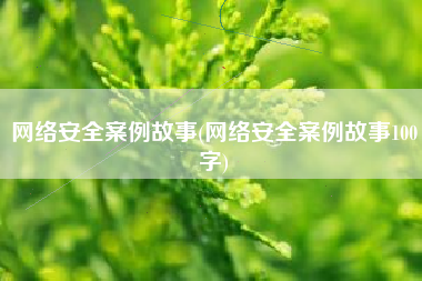 网络安全案例故事(网络安全案例故事100字)
