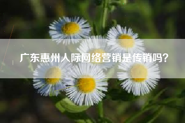 广东惠州人际网络营销是传销吗？