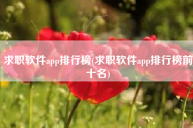 求职软件app排行榜(求职软件app排行榜前十名)
