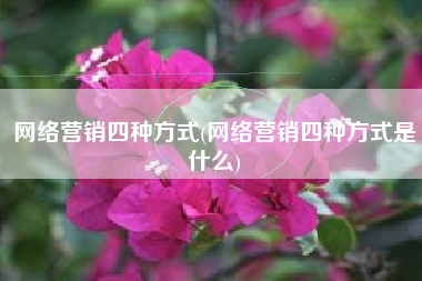 网络营销四种方式(网络营销四种方式是什么)
