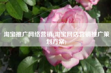 淘宝推广网络营销(淘宝网店营销推广策划方案)