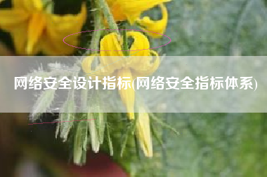 网络安全设计指标(网络安全指标体系)