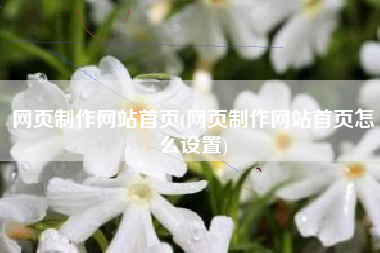 网页制作网站首页(网页制作网站首页怎么设置)