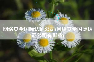 网络安全国际认证公司(网络安全国际认证公司有哪些)