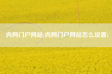 内网门户网站(内网门户网站怎么设置)