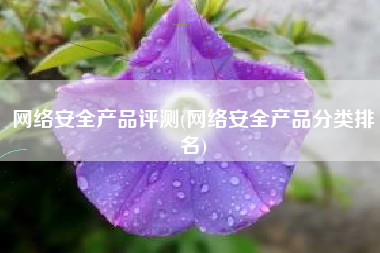 网络安全产品评测(网络安全产品分类排名)