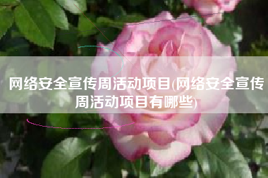 网络安全宣传周活动项目(网络安全宣传周活动项目有哪些)