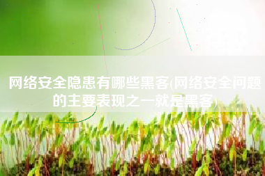 网络安全隐患有哪些黑客(网络安全问题的主要表现之一就是黑客)