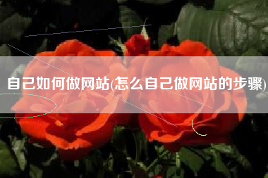 自己如何做网站(怎么自己做网站的步骤)