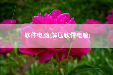 软件电脑(解压软件电脑)