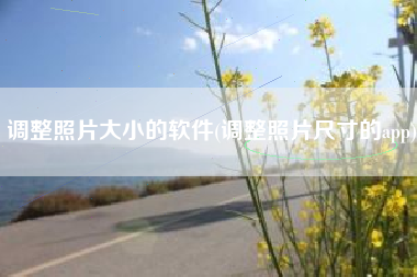 调整照片大小的软件(调整照片尺寸的app)
