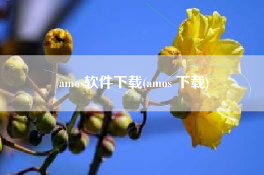 amos软件下载(amos 下载)