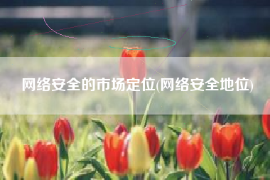 网络安全的市场定位(网络安全地位)