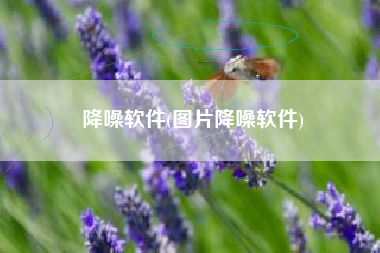 降噪软件(图片降噪软件)