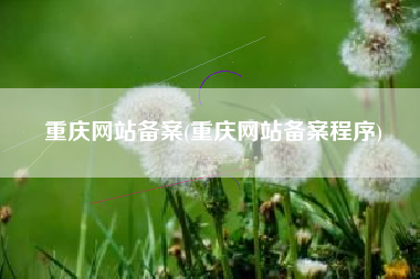 重庆网站备案(重庆网站备案程序)
