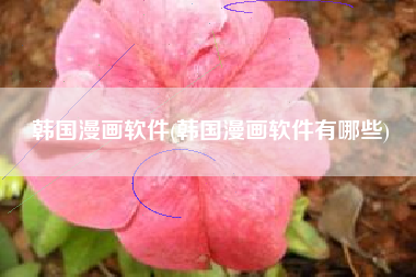 韩国漫画软件(韩国漫画软件有哪些)