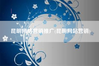 昆明网络营销推广(昆明网站营销)