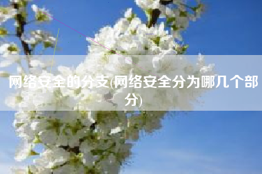 网络安全的分支(网络安全分为哪几个部分)