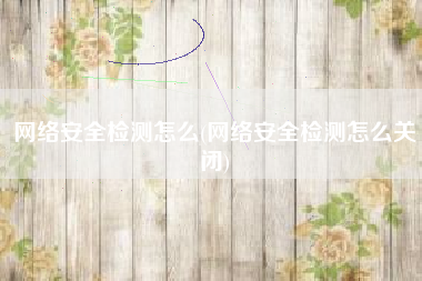 网络安全检测怎么(网络安全检测怎么关闭)