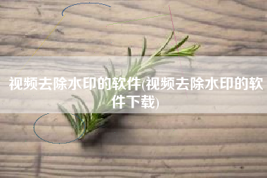 视频去除水印的软件(视频去除水印的软件下载)