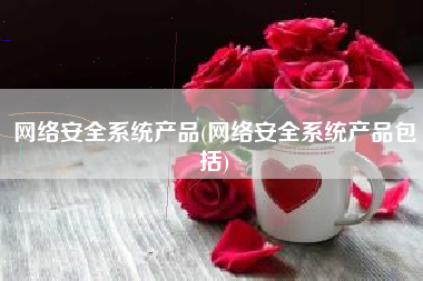 网络安全系统产品(网络安全系统产品包括)
