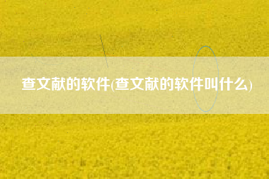 查文献的软件(查文献的软件叫什么)