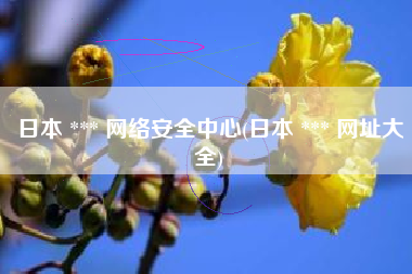 日本 *** 网络安全中心(日本 *** 网址大全)