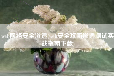 web网络安全渗透(web安全攻防渗透测试实战指南下载)