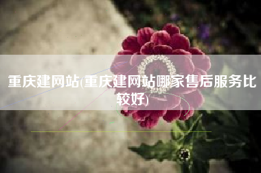 重庆建网站(重庆建网站哪家售后服务比较好)
