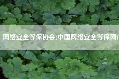 网络安全等保协会(中国网络安全等保网)