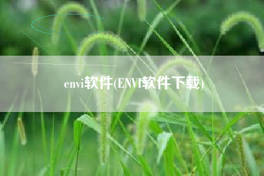 envi软件(ENVI软件下载)