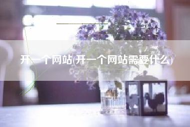 开一个网站(开一个网站需要什么)