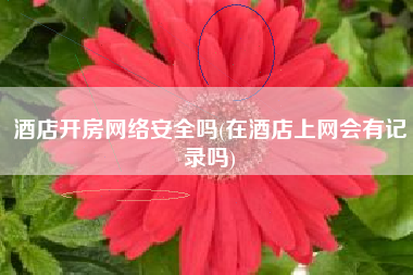 酒店开房网络安全吗(在酒店上网会有记录吗)