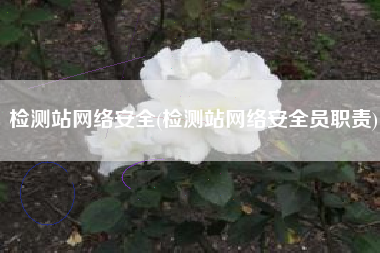 检测站网络安全(检测站网络安全员职责)
