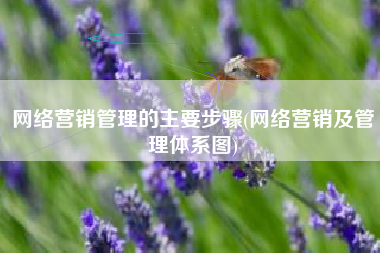 网络营销管理的主要步骤(网络营销及管理体系图)