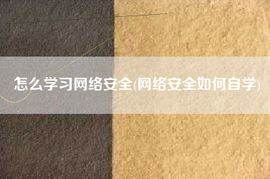 怎么学习网络安全(网络安全如何自学)