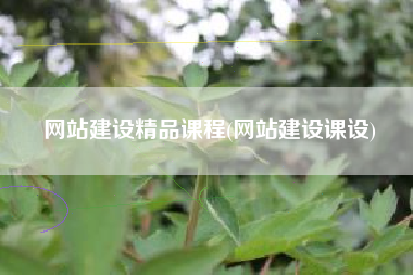 网站建设精品课程(网站建设课设)
