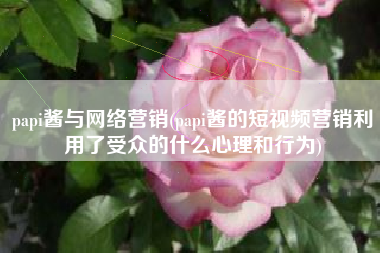 papi酱与网络营销(papi酱的短视频营销利用了受众的什么心理和行为)