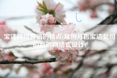 宝洁网络营销的特点(案例分析宝洁公司的新的网络式设计)